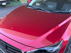 �̤��̳�ƻ����϶彣������ޤ��������Ѥ�����Ǽ�֤⾵��ޤ������渫�Ѥ����Ǥ⤪���ڤˤ��䤤��碌���������ʡ����� 7