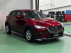 ��ư�ǥ�����Ǻ��夲��줿ή��Ū��̥��Ū�ʥܥǥ��饤�� 5