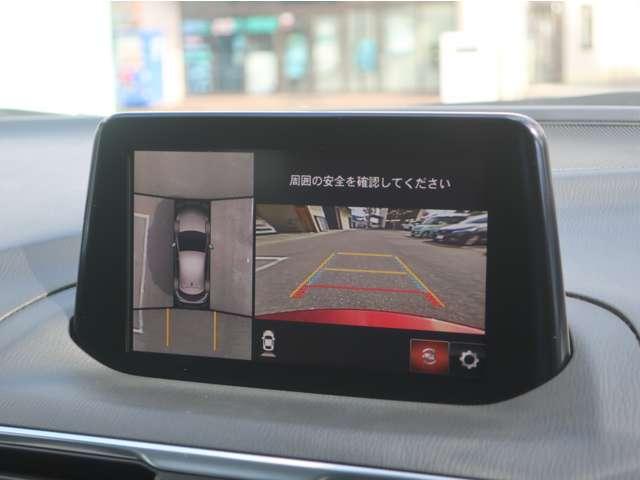 駐車時にサポートしてくれる３６０度モニター付き！