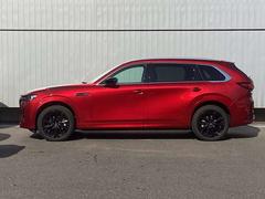 ޥĥȼΡغưǥ٤ˤ뿭Ӥ䤫ʥ륨åȤħΥɥӥ塼Ǥ 3