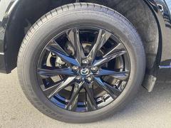 �����Υ���ߥۥ�������ܤǤ��� 6