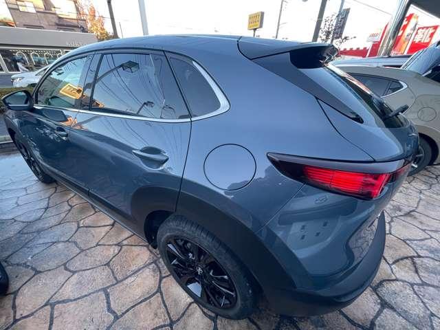 CX-30 2.0 20S レトロスポーツエディション 試乗車 AppleCarPlay&AndroidAuto 電動Rゲート MRCC フルセグ スマートブレーキサポート オートエアコン パーキングセンサー LEDヘッドライト PWシート シ-トヒ-タ-(3枚目)