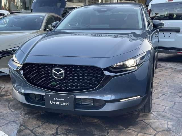 CX-30 2.0 20S レトロスポーツエディション 試乗車 AppleCarPlay&AndroidAuto 電動Rゲート MRCC フルセグ スマートブレーキサポート オートエアコン パーキングセンサー LEDヘッドライト PWシート シ-トヒ-タ-(8枚目)