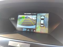 쥸 ϥ֥åɡţءʥӡե륻ԣ̥֡ 0560787A30250929W001 7