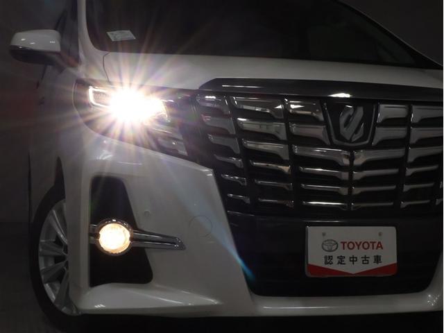 アルファード 3.5SA(27枚目)