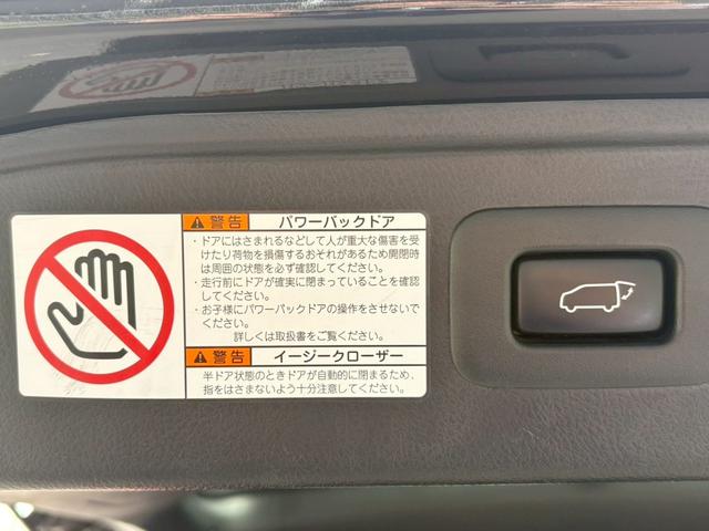 アルファード 2.5S タイプゴールド 禁煙 トヨタセーフティセンス 純正9型ナビ 12.1型後席モニター デジタルインナーミラー ETC2.0 バックカメラ パワーバックドア 車線逸脱警告 クルコン 3眼LEDライト 純正18インチアルミ(23枚目)