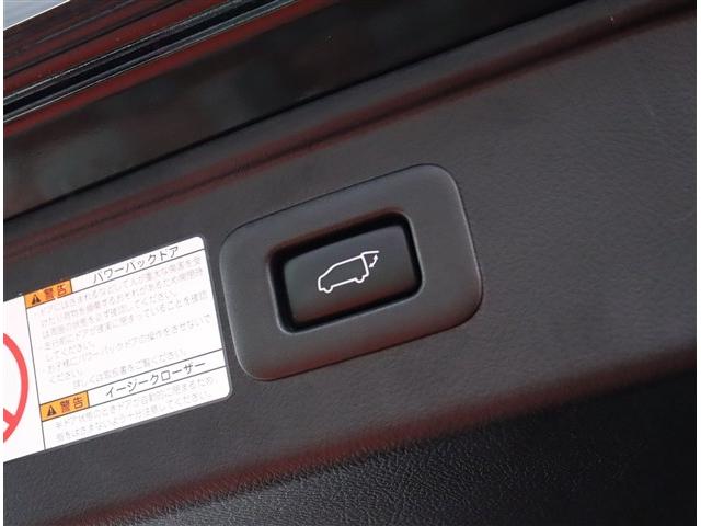 アルファード ２．５Ｓ　Ｃパッケージ　ＪＢＬナビ全方位カメラフルセグ後席モニターＬＥＤヘッドライト＆フォグ前後ドラレコデジタルインナーミラーコンビハンドルステアリモコンレーダークルコンサンルーフワンオーナー（59枚目）