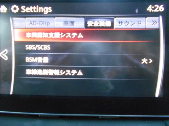 1.5 XD ツーリング ディーゼルターボ 4WD MRCC(15枚目)