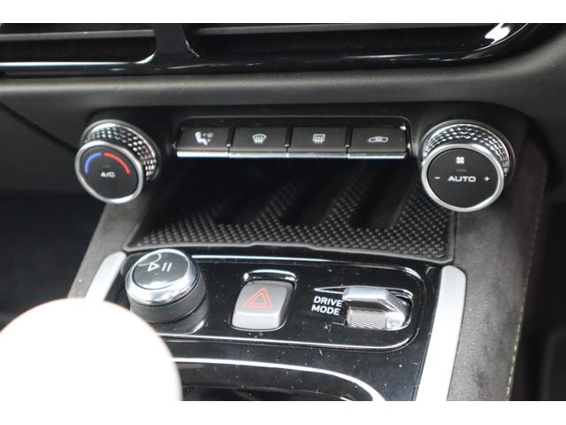 エミーラ Ｖ６　ファーストエディション　ＷＩＴＨ　ＭＥ　ＲＡＣＩＮＧ　ワンオフマフラー／６ＭＴ／スポーツサスペンション／ロワードブラックパック／ブラックアルカンタラ／イエローステッチ（17枚目）