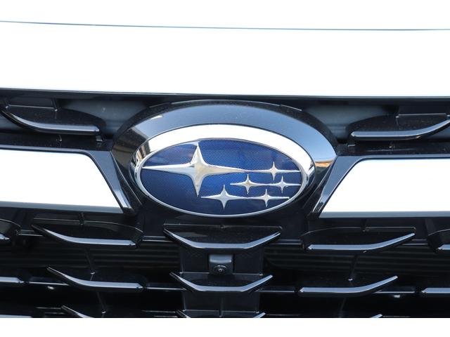 レヴォーグ レイバック リミテッドＥＸ（49枚目）