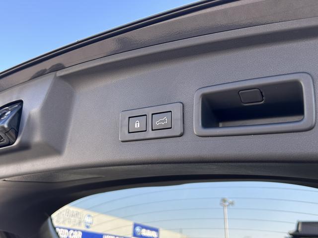 レヴォーグ STIスポーツEX 11.6インチモニターナビ 本革シート ドライバーモニタリング 液晶メーター スマートリヤビューミラー 電子制御サスペンション ステアリング連動ヘッドライト&オートハイビーム 後側方レーダー フロントコーナーセンサー(49枚目)