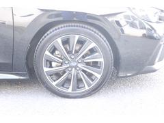 ��������� �ӣԣɥ��ݡ��ġ��ţء������ʥӡ������ϥ���顡����� 0560845A20251107B002 6