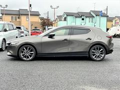 ͣڣģեȥХå ӥġ󥰡ʥӡﳲڸ֥졼ʥӡɥ饤С˥󥰥ƥ 0560845A30251012W001 3