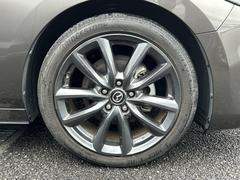 ͣڣģեȥХå ӥġ󥰡ʥӡﳲڸ֥졼ʥӡɥ饤С˥󥰥ƥ 0560845A30251012W001 7