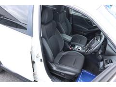 �ե��쥹���� �ץ�ߥ��ࡡ�ʥӡ��ƣӣҥ���顡�ţԣã������������եƥ��� 0560845A30251221W002 6