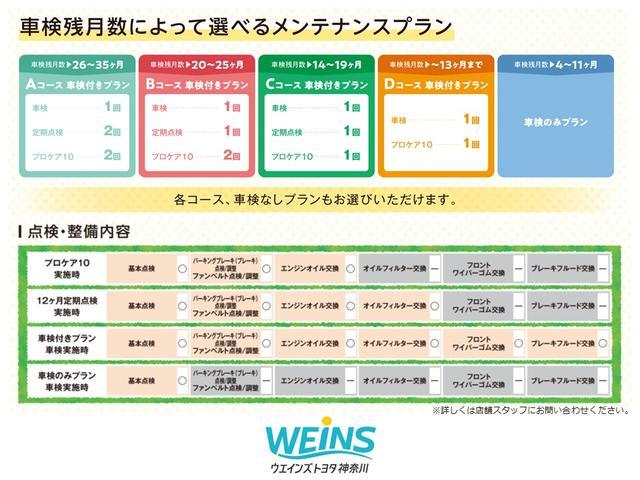 ストライプスG 両側自動ドア 衝突回避ブレーキ シートヒーター 届出済み未使用車 新車保証継承 走行6キロ(48枚目)