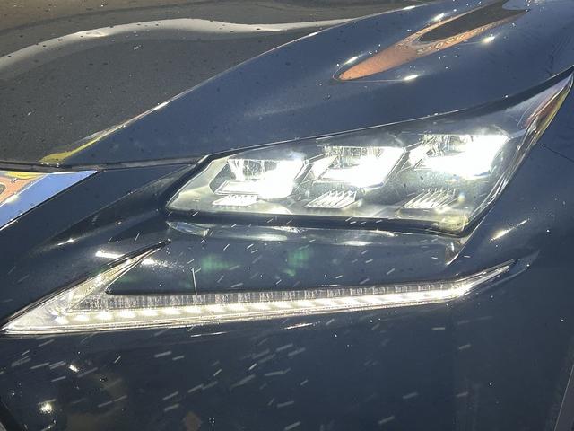 ＮＸ ＮＸ２００ｔ　Ｉパッケージ　パワーバックゲート（11枚目）