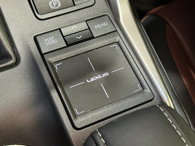 ＮＸ ＮＸ２００ｔ　Ｉパッケージ　パワーバックゲート（14枚目）