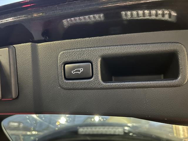 ＮＸ ＮＸ２００ｔ　Ｉパッケージ　パワーバックゲート（15枚目）