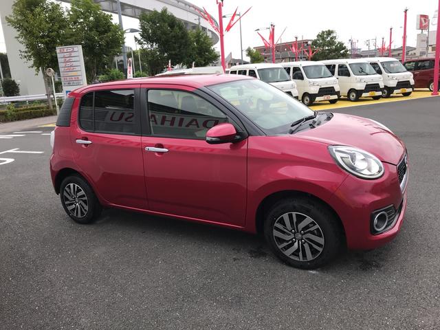 シルク Gパッケージ SAII(19枚目)