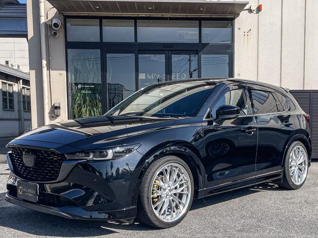 ＣＸ－５ ＸＤ　スポーツアピアランス　ワンオーナー　地上デジタルＴＶチューナー　パワーリフトゲート　ナビゲーションＳＤカード　ＥＴＣ２．０　ＴＥＩＮ車高調ＫＩＴ　ＷＯＲＫ２１インチアルミホイール　オートエグゼスタビリンク　デイライトキット（16枚目）