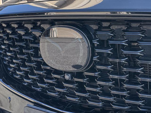 ＣＸ－５ ＸＤ　スポーツアピアランス　ワンオーナー　地上デジタルＴＶチューナー　パワーリフトゲート　ナビゲーションＳＤカード　ＥＴＣ２．０　ＴＥＩＮ車高調ＫＩＴ　ＷＯＲＫ２１インチアルミホイール　オートエグゼスタビリンク　デイライトキット（39枚目）