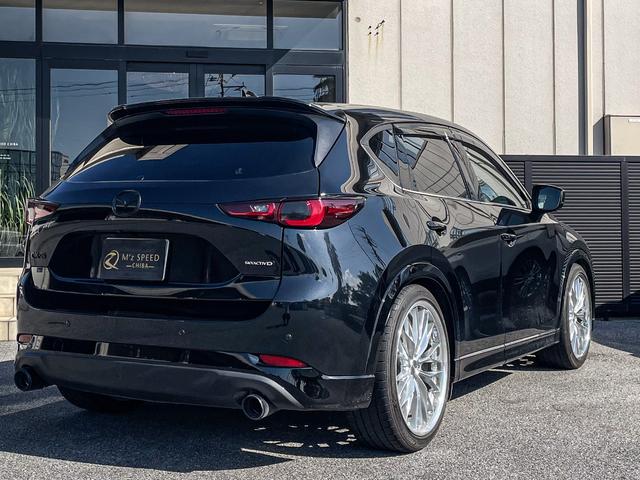 ＣＸ－５ ＸＤ　スポーツアピアランス　ワンオーナー　地上デジタルＴＶチューナー　パワーリフトゲート　ナビゲーションＳＤカード　ＥＴＣ２．０　ＴＥＩＮ車高調ＫＩＴ　ＷＯＲＫ２１インチアルミホイール　オートエグゼスタビリンク　デイライトキット（41枚目）