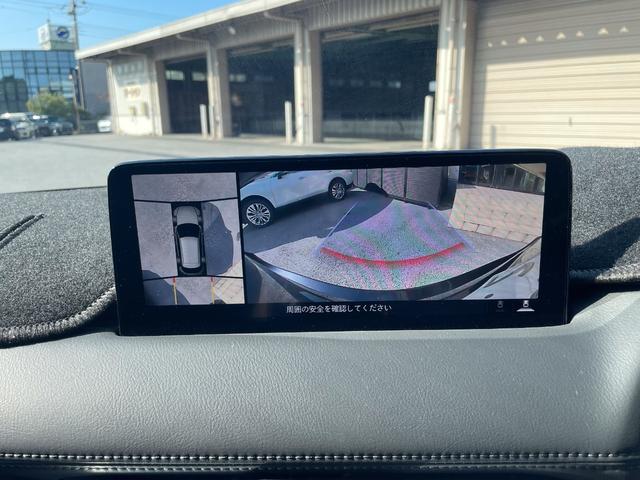 ＣＸ－５ ＸＤ　スポーツアピアランス　ワンオーナー　地上デジタルＴＶチューナー　パワーリフトゲート　ナビゲーションＳＤカード　ＥＴＣ２．０　ＴＥＩＮ車高調ＫＩＴ　ＷＯＲＫ２１インチアルミホイール　オートエグゼスタビリンク　デイライトキット（43枚目）