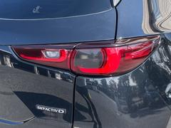 ֤Źͽ桪ͥŪˤ⤵ĺޤΤѲ 5