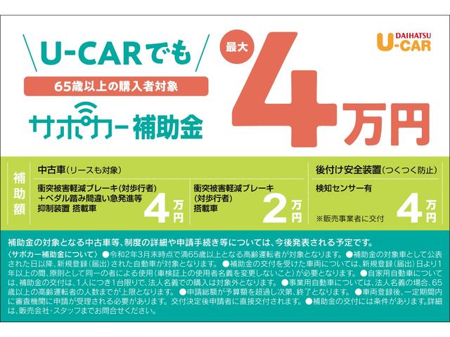スタイル SAIII・バックカメラ・カーペットマット付き(3枚目)
