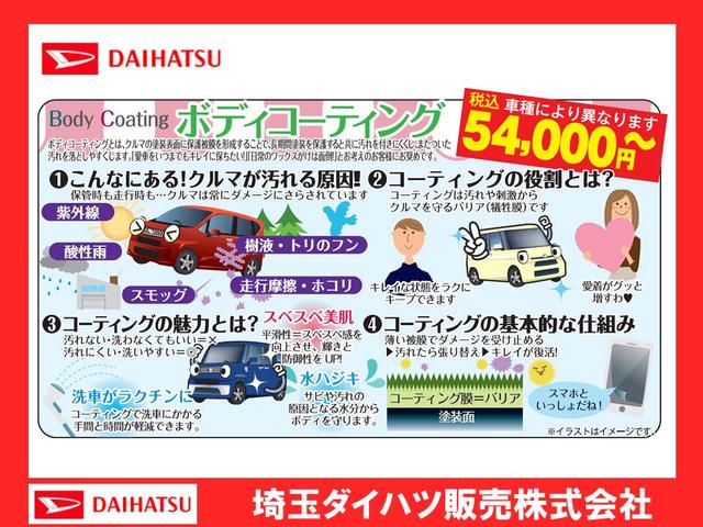 スタイル SAIII・バックカメラ・カーペットマット付き(25枚目)