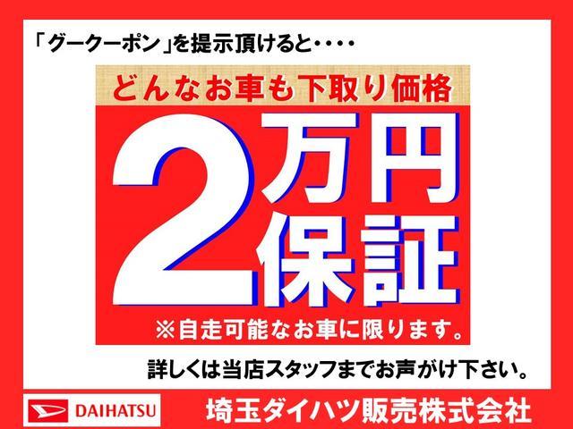スタイル SAIII・バックカメラ・カーペットマット付き(26枚目)