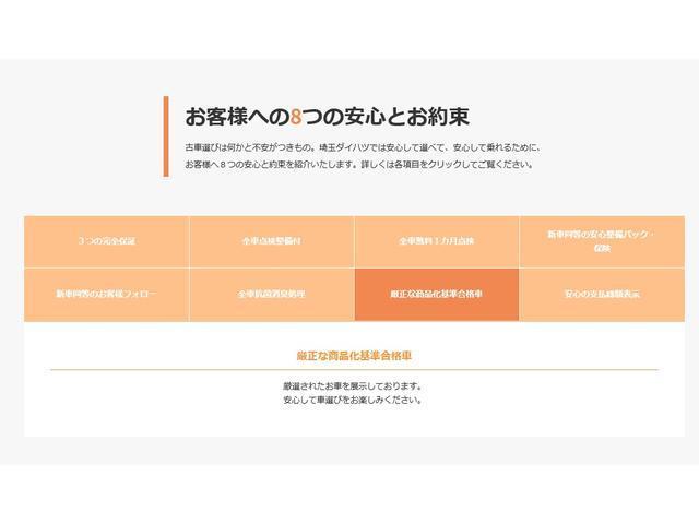 GターボリミテッドSAIII ナビ・パノラマモニター(49枚目)