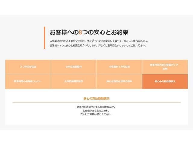 GターボリミテッドSAIII ナビ・パノラマモニター(50枚目)