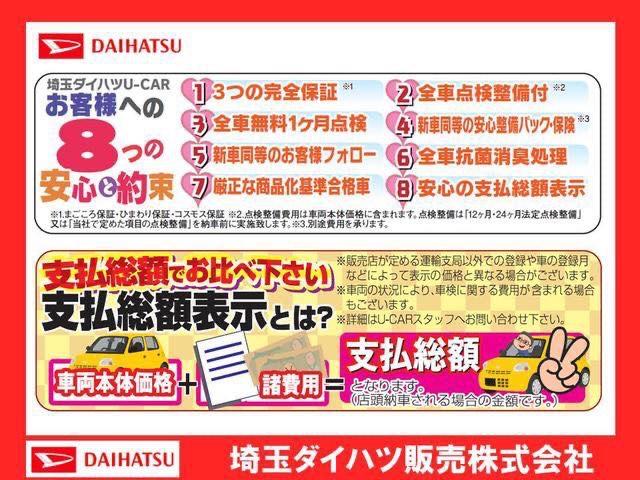 スタイル SAIII 走行距離356km・純正マット付き(36枚目)