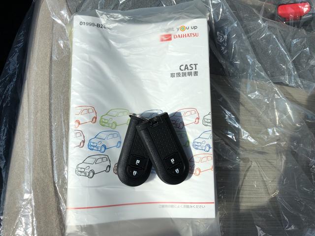スタイルX リミテッド SAIII(17枚目)
