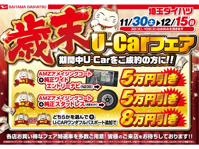 スタイルX リミテッド SAIII シートヒーター Bカメラ(2枚目)