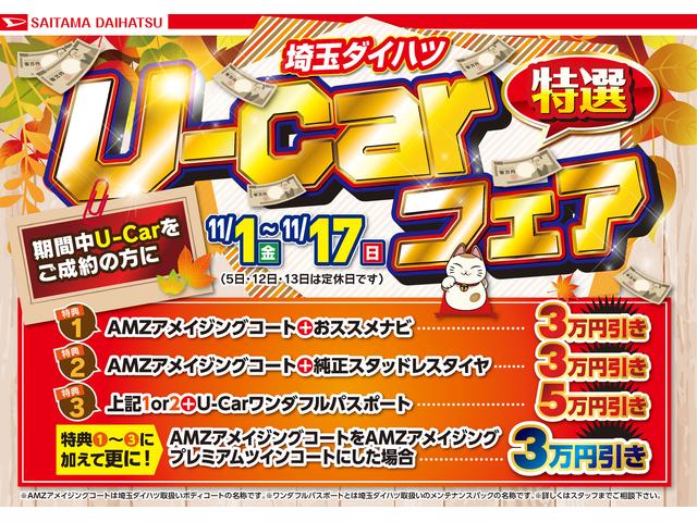 アクティバX リミテッド SAIII バックカメラ(2枚目)