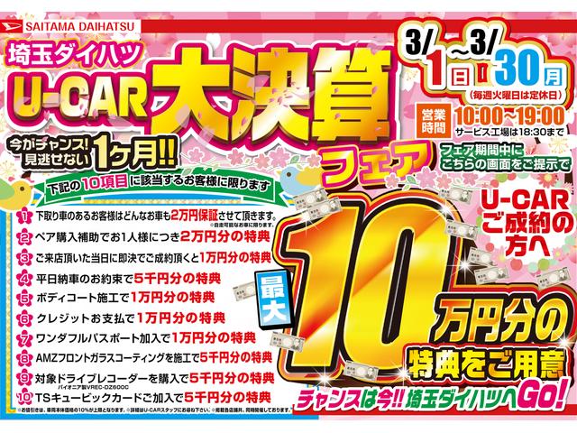 シルク Gパッケージ SAIII 純正フルセグナビ マット(2枚目)