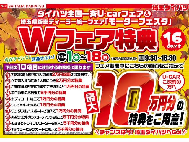 スタイル SAIII バックカメラ 純正カーペットマット(2枚目)