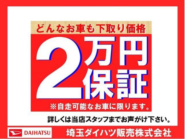 X リミテッドSAIII 純正フルセグナビ バックカメラ(21枚目)