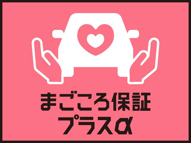XリミテッドII SAIII(35枚目)
