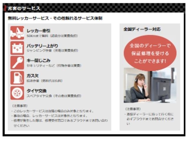アエラス 7人 純正ナビ フルセグTV Bカメラ 両側電動扉(32枚目)