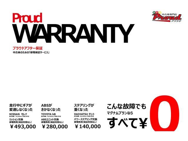 G・Aパッケージ 1年保証付 SDナビ 地デジTV カラーバックカメラ 両側スライド片側電動スライドドア ETC ステアリングリモコン オートライト ディスチャージライト スマートキー あんしんパッケージ(34枚目)