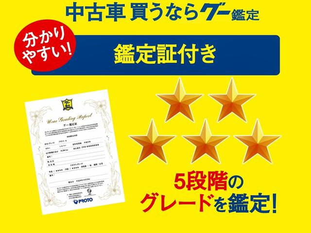 ウェルキャブ サイドリフトアップ電動車いす 両側パワスラ(4枚目)
