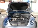 VOLKSWAGEN THE BEETLE