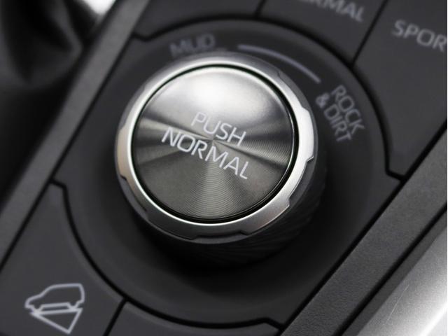 アドベンチャー 4WD 黒皮パワーシート 新品アルミホイール リフトアップ 新品ディスプレイオーディオ Apple/AndroidCarPlay対応 シートH/シートAC ワンオーナー(35枚目)