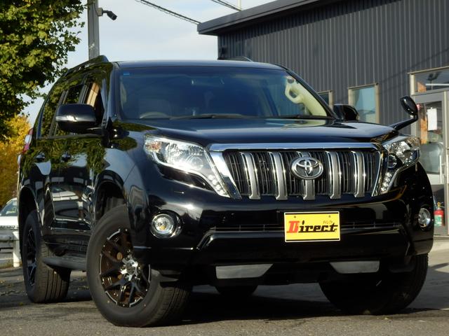 ランドクルーザープラド ＴＸディーゼルターボ６速ＡＴルーフレール４ＷＤ　社外ナビフルセグＴＶバックカメラＥＴＣ　プッシュスタート＆スマートキー（5枚目）