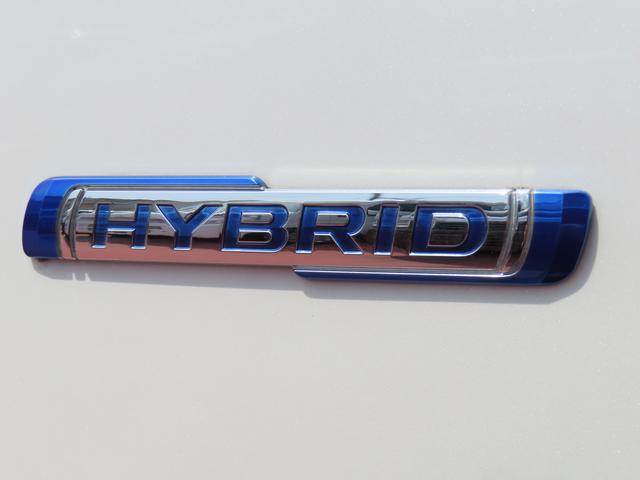 スティングレー　ＨＹＢＲＩＤ　Ｘ　ナビ　セーフティサポート(42枚目)