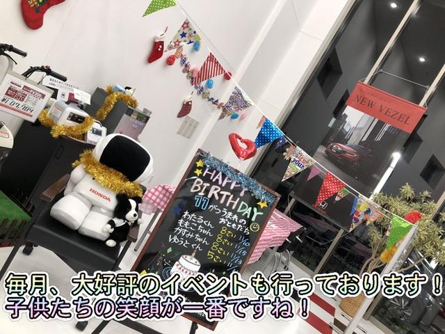 ZS特別仕様車 スポーティエディション(25枚目)